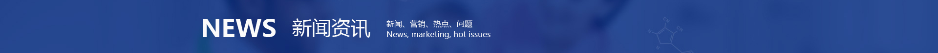 泰安網絡公司