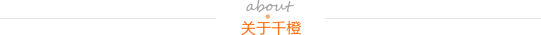 泰安網絡公司